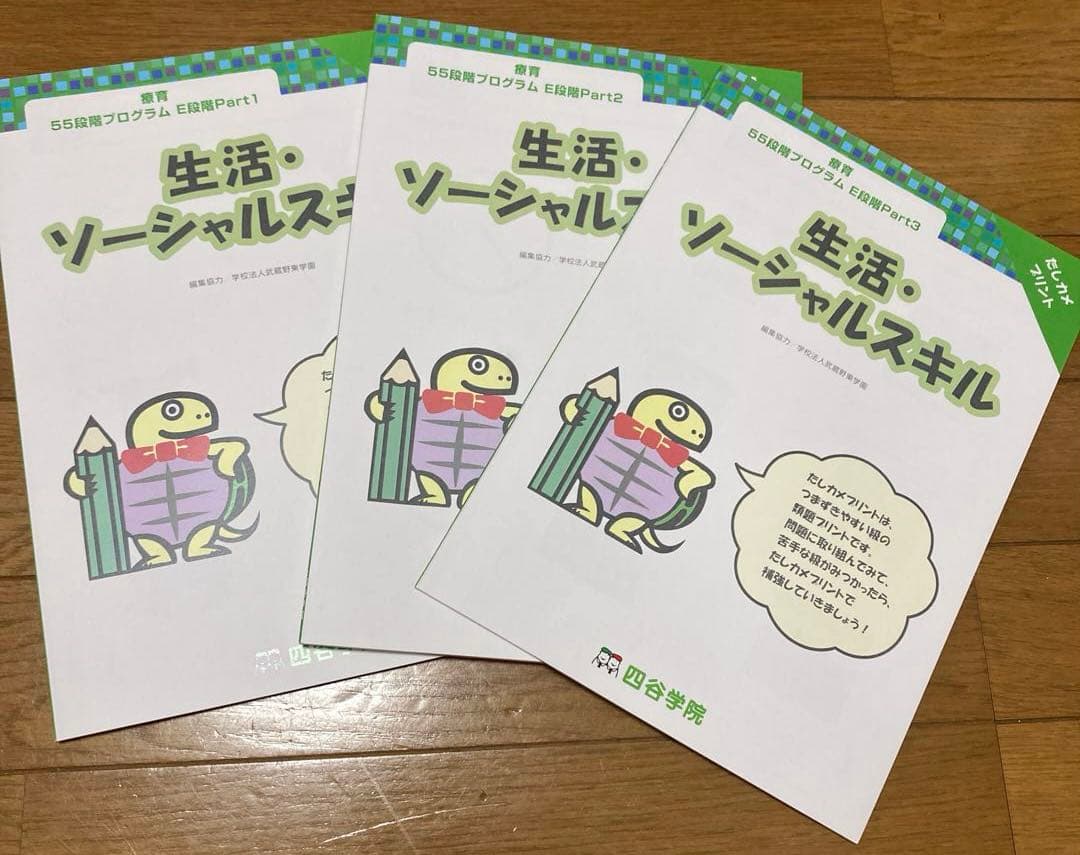 四谷学院療育55段階プログラムE段階（小2相当）
