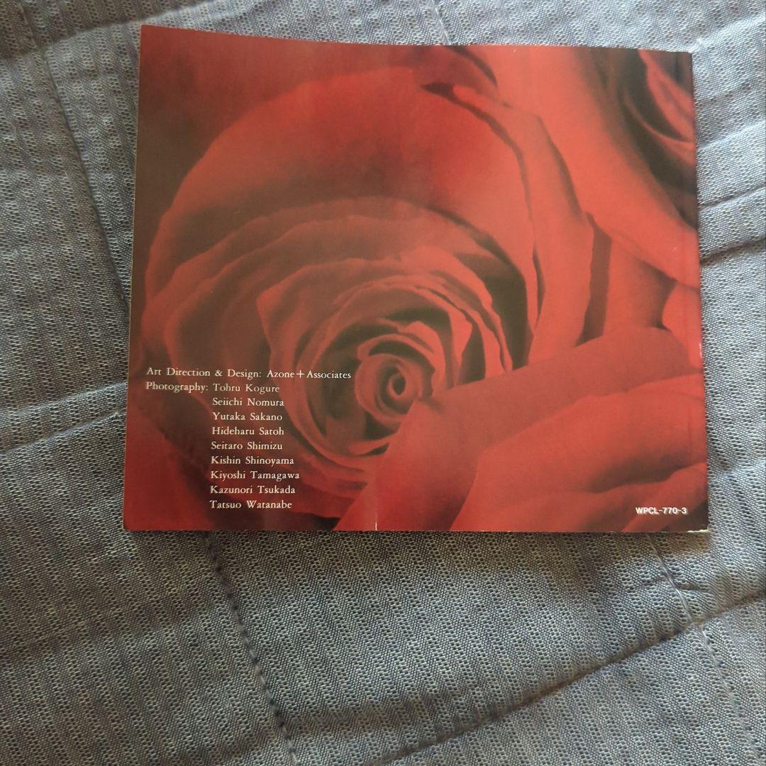 中森明菜 AKINA