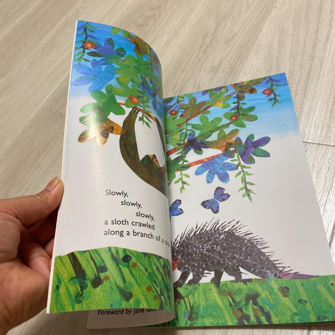 洋書 Er26 slowly slowly slowly said the sloth
