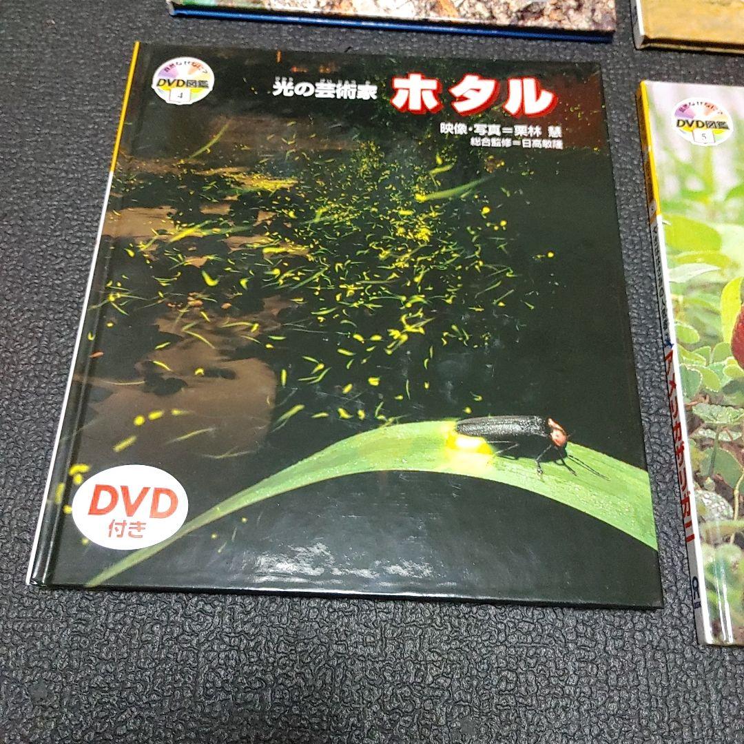 自然なぜなに DVD図鑑 ほば未使用 6冊セット 栗林 慧