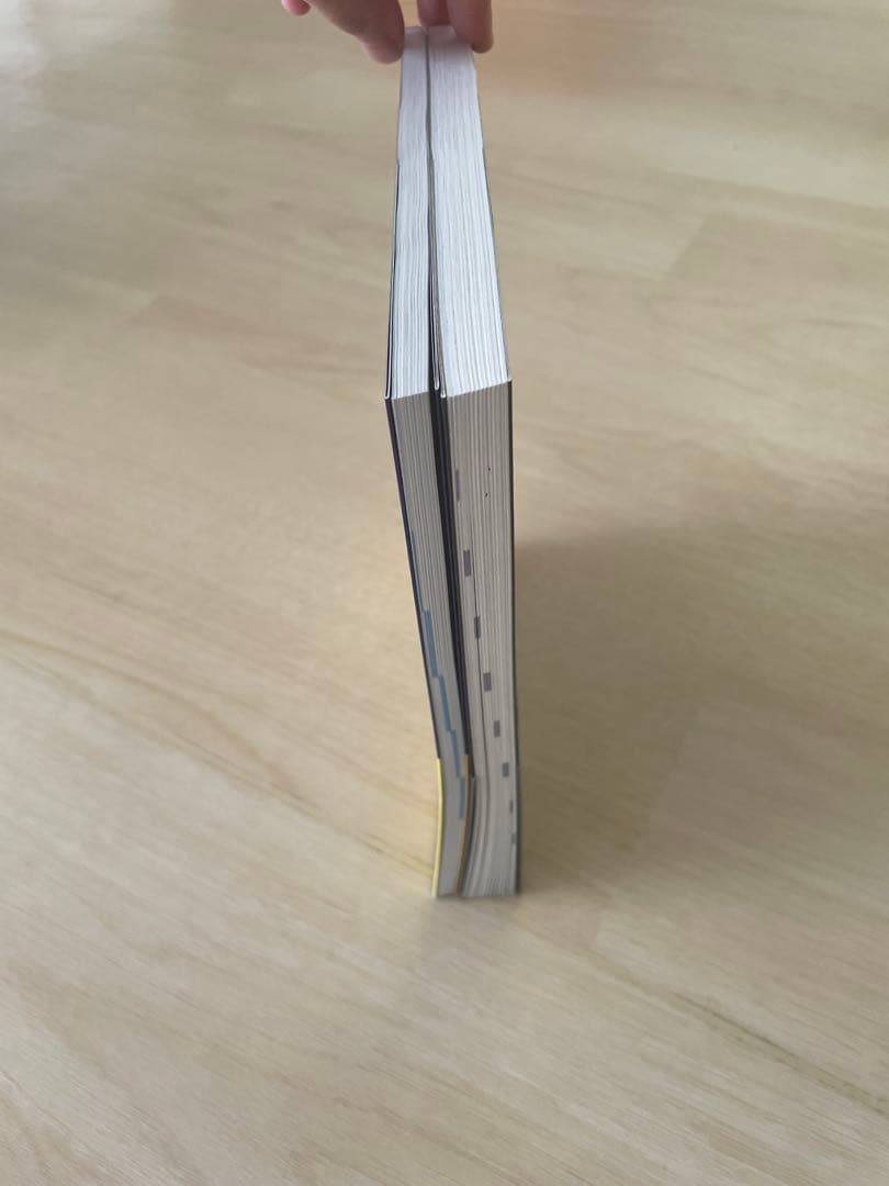 入谷式　足底板　参考書