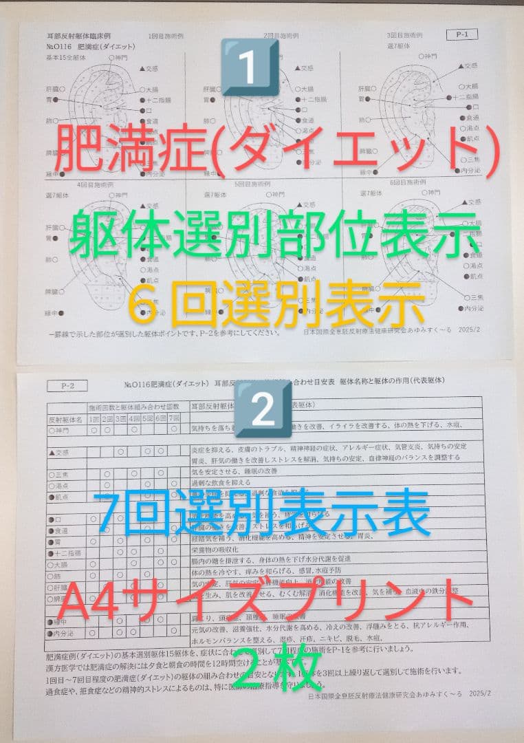 BP32:耳つぼ：臨床例60例集+チャート2+解説プリント（ジュエリー必須）プロ