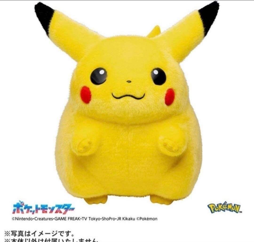 【3点セット】ポケモン はじまりのピカチュウ＆おかえり！ピカチュウ