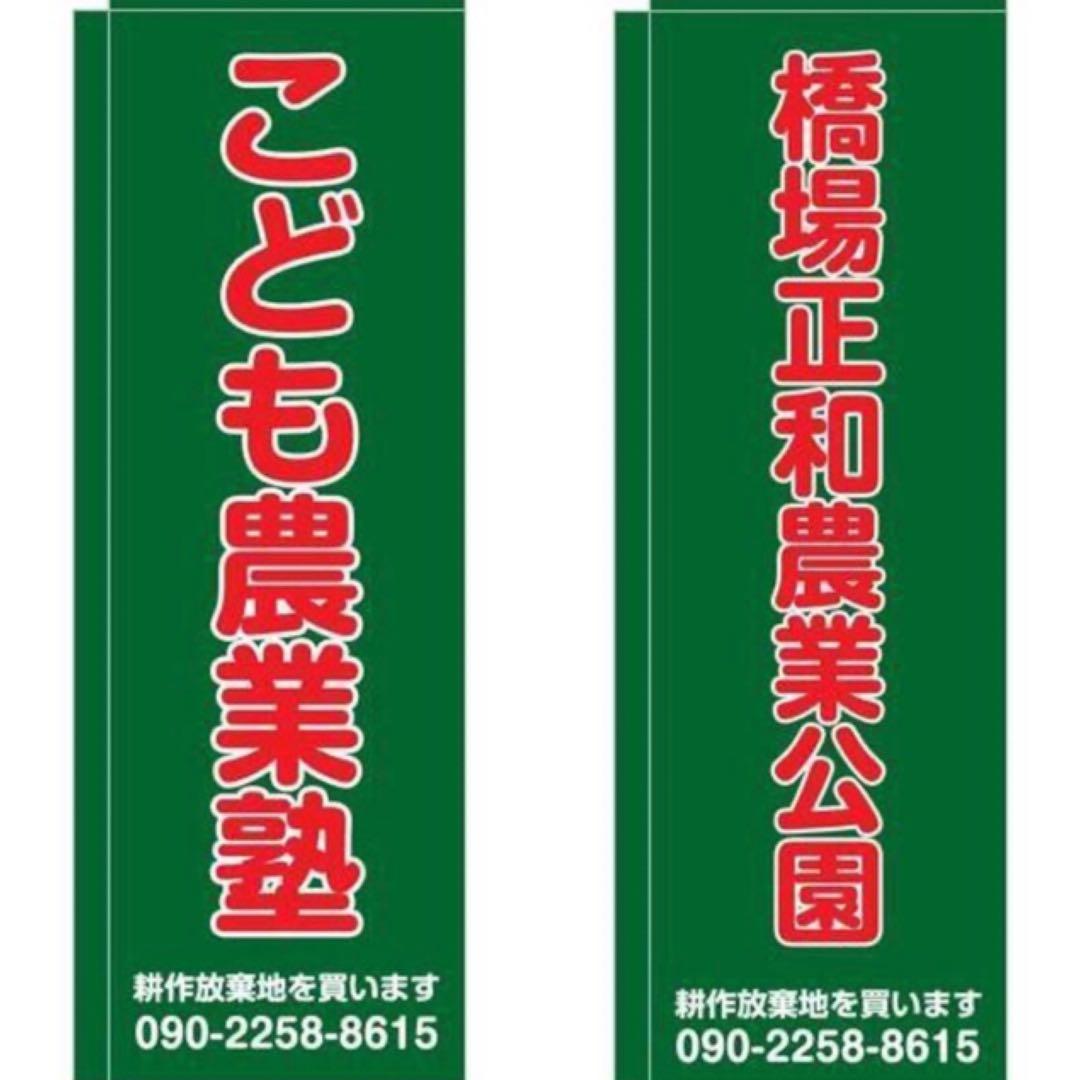 花乙女コレクション【西脇順三郎　花と人物】購入金額より60％お値引き！！