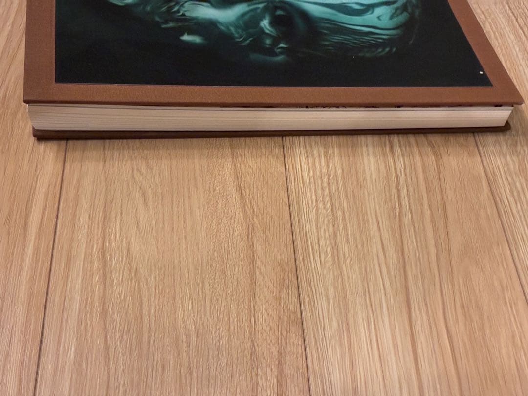 ALEXANDER McQUEEN SAVAGE BEAUTY 洋書