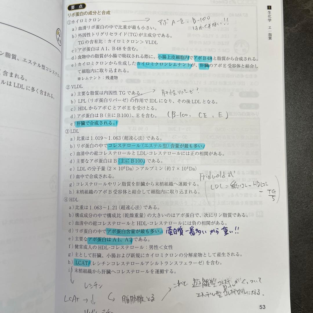 Complete MT 2026 6巻セット
