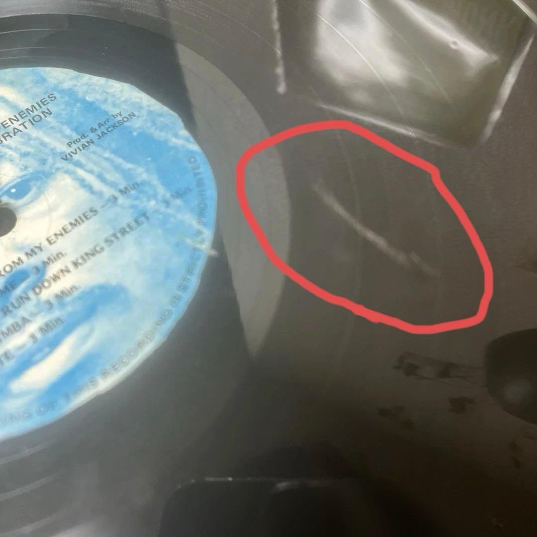 レゲエ名盤 Roots Dub Ska レコードまとめ売り　⚠️