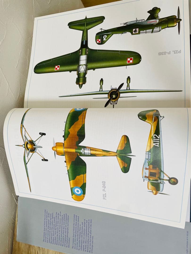 Complete Book of World War II Combat Ai〜