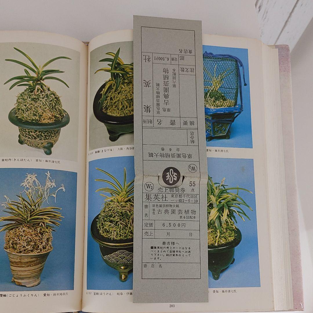 原色　古典園芸植物　鈴木助三　鈴木愛國　共著、