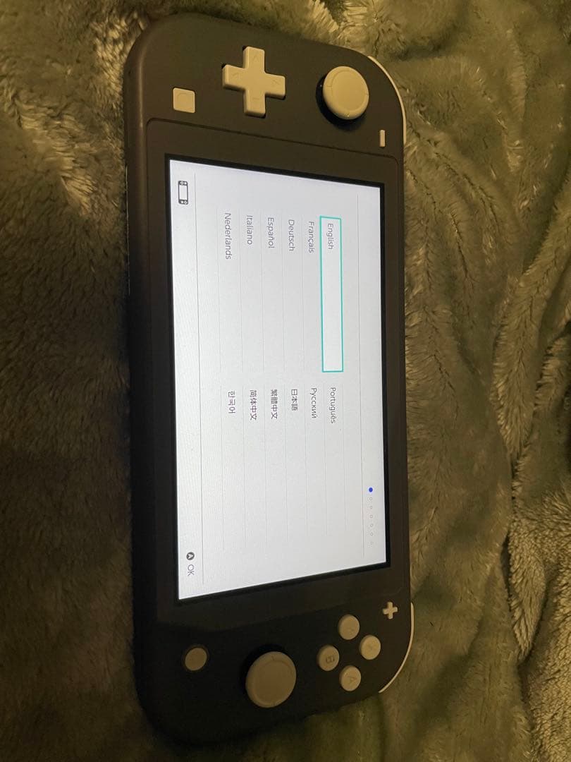 ま*い様 Nintendo Switch Lite + ゲームソフト5本セットま