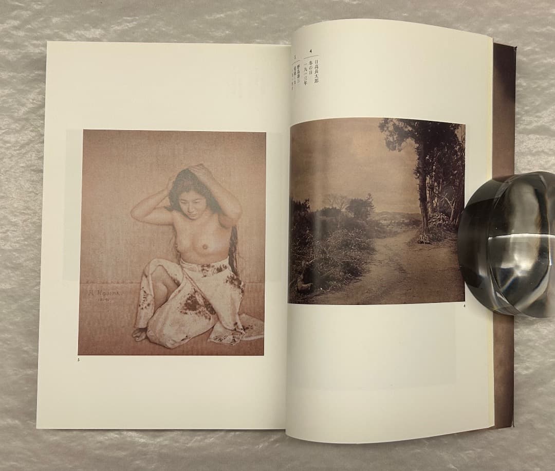 『芸術写真の精華』図録、東京都美術館、2011年。