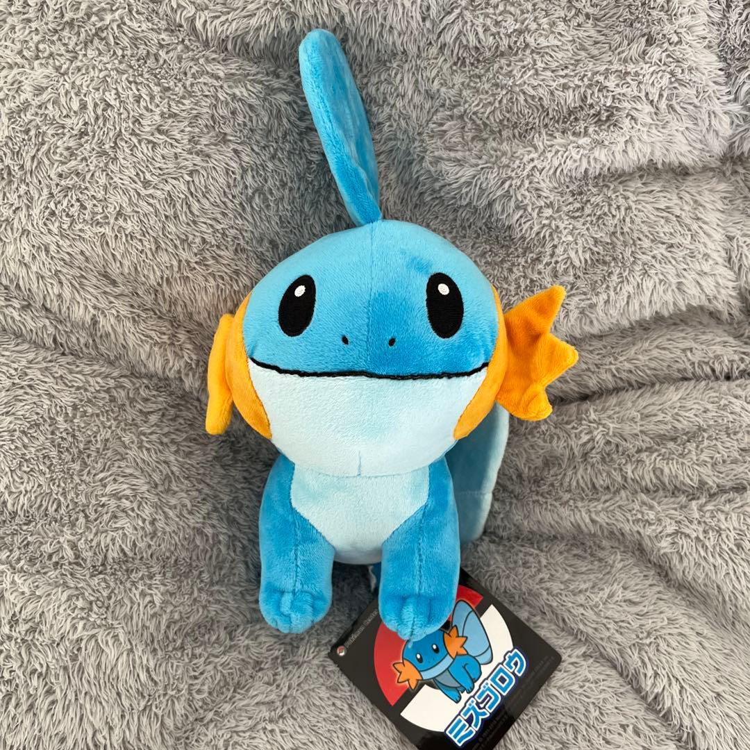 【新品・未使用】ポケモン ぬいぐるみ&キーホルダー セット