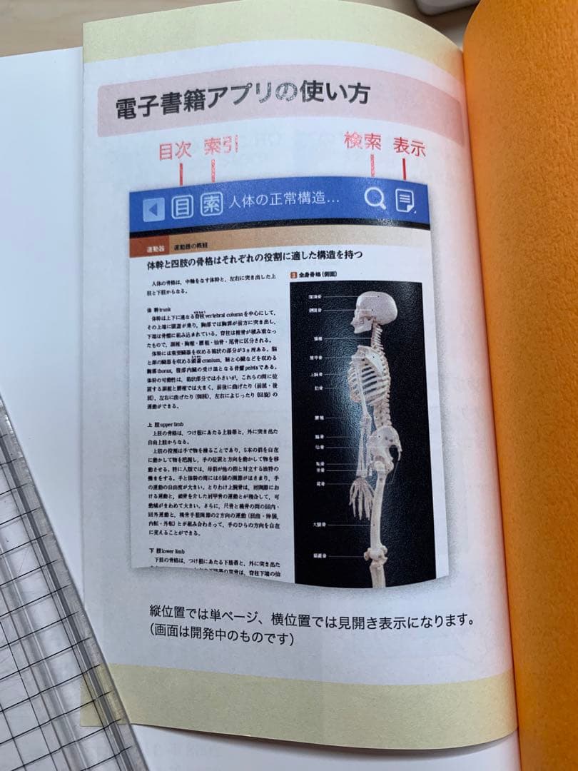 【送料無料】カラー図解 人体の正常構造と機能 全10巻縮刷版
