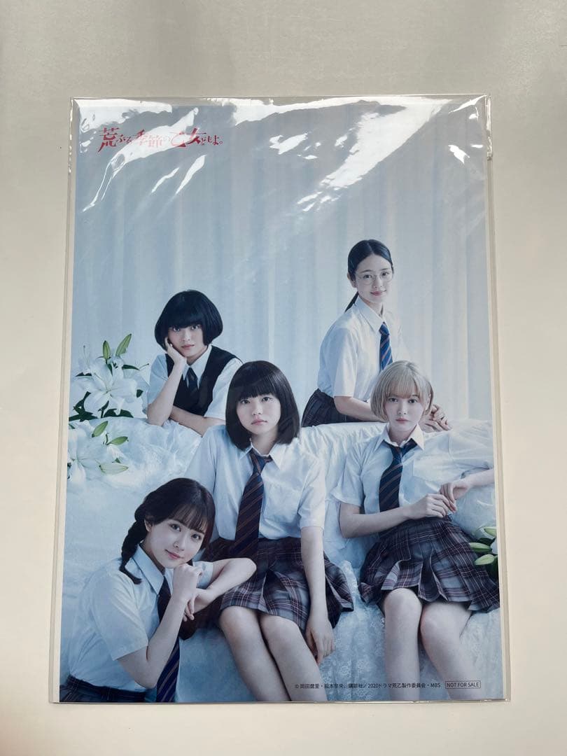 悪ぶる季節の乙女どもよ