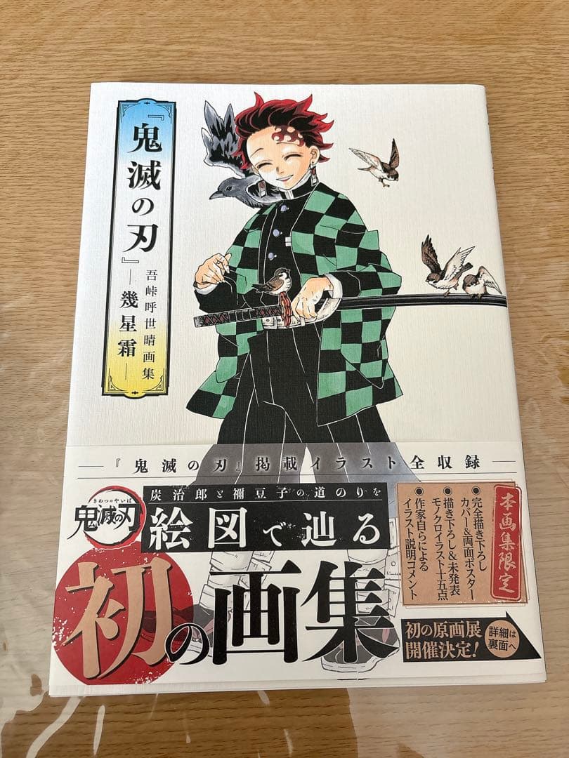 鬼滅の刃 漫画 +小説+ファンブック+ 画集+ 鬼滅の宴 Blu-rayセット