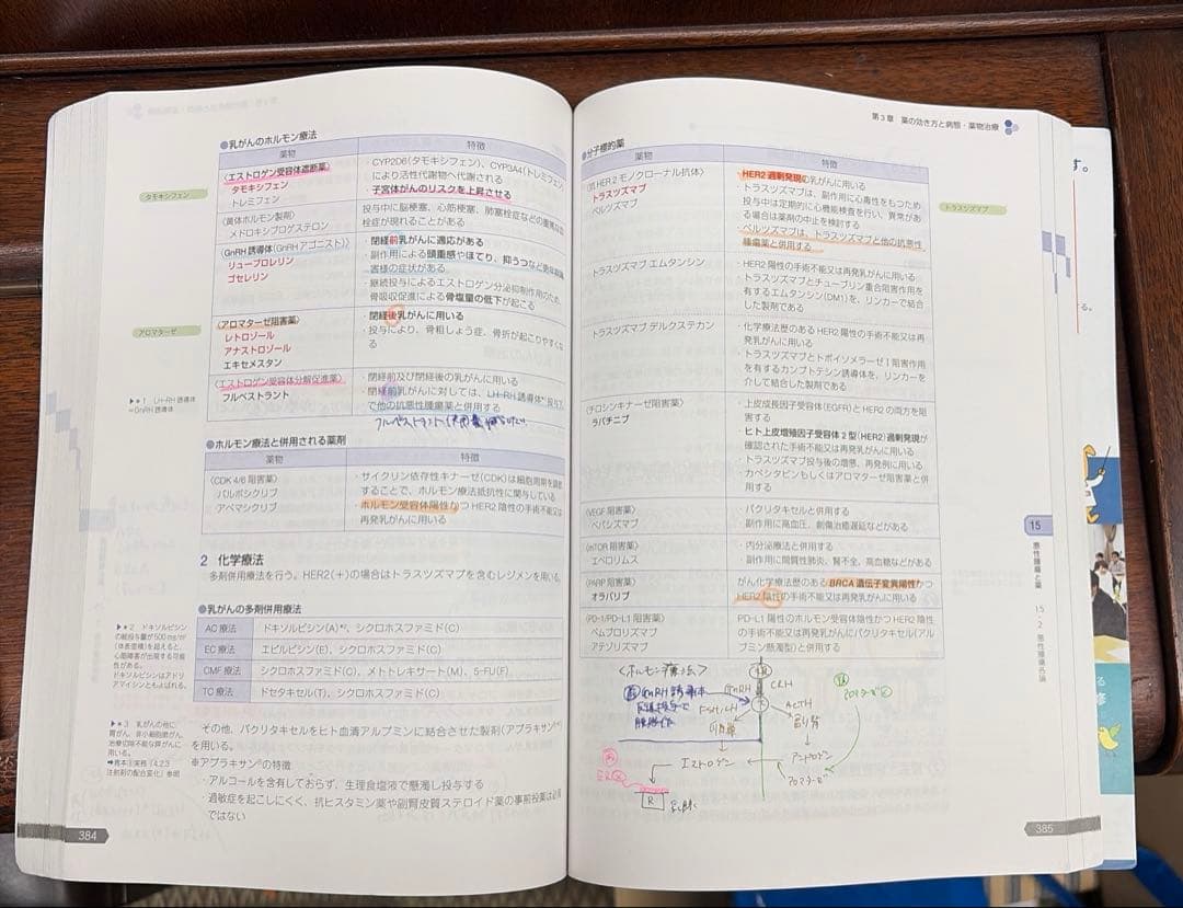 薬ゼミ　第111回薬剤師国家試験対策参考書　青本・青問全巻セット