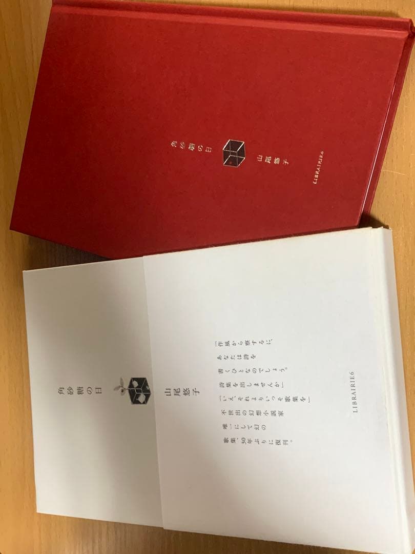 角砂糖の日 山尾悠子