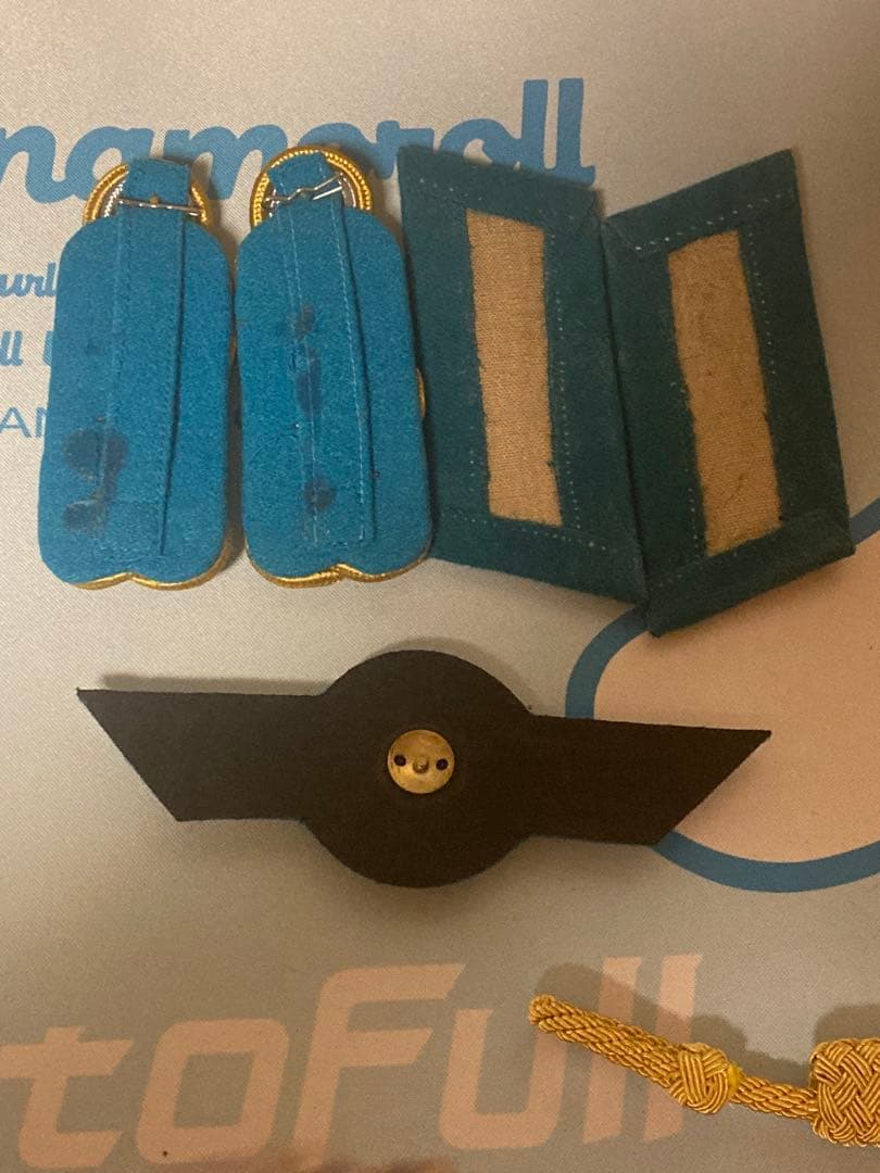 東独　空軍将官パーツ類　東ドイツ