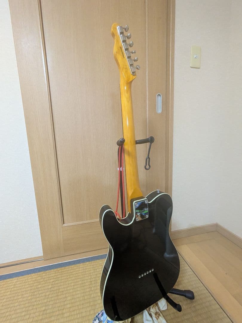 EDWARDS E-TE-100CTM/LT ダンカンPU ラッカー