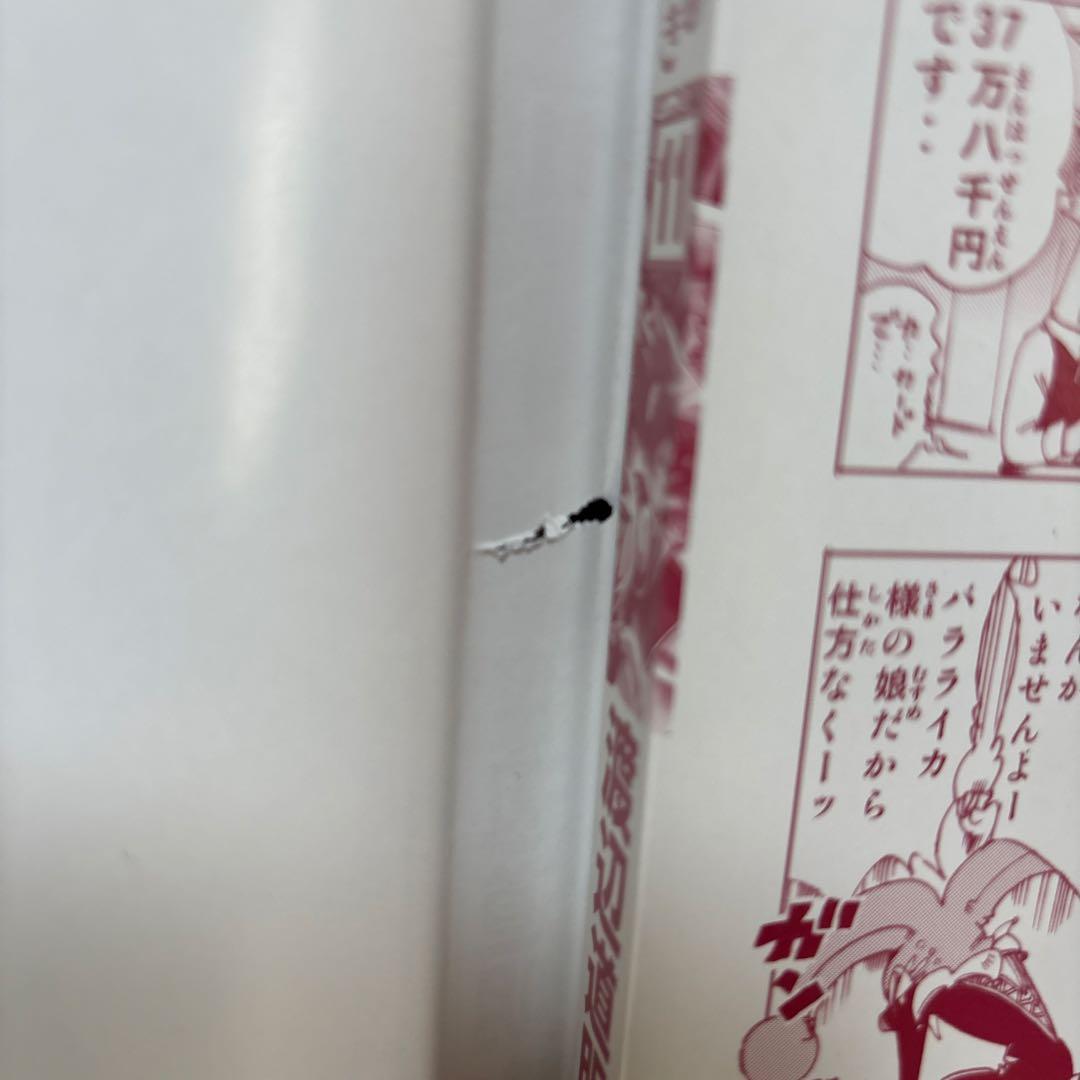 続 ハーメルンのバイオリン弾き 1〜20巻セット