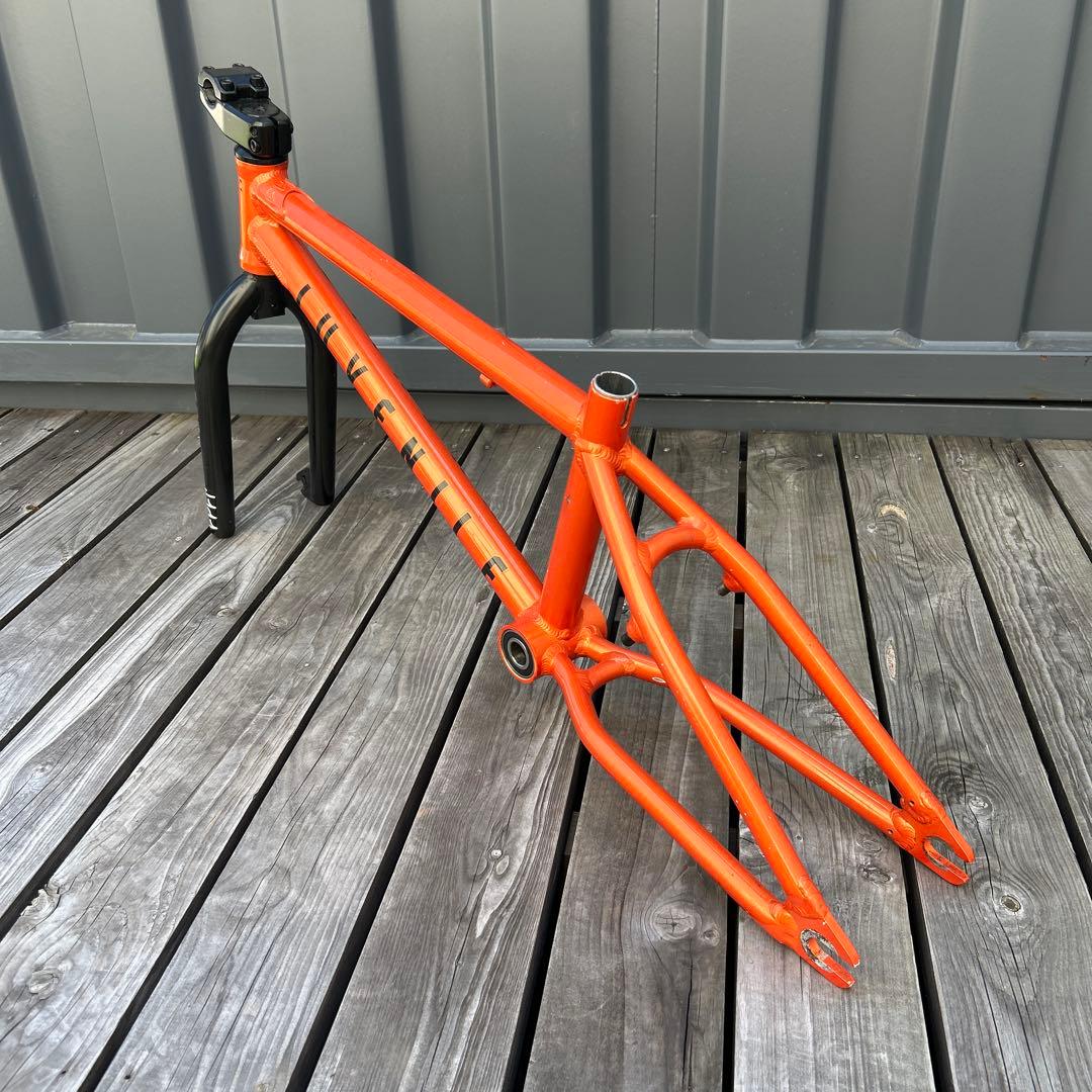 18インチ　BMX カルトフレーム