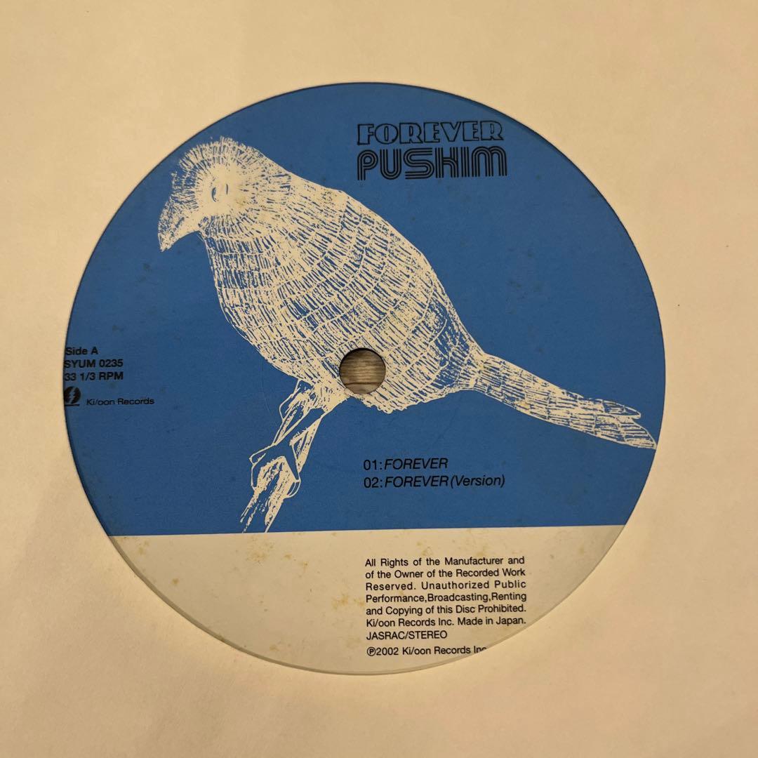 J*J様 pushim レコード forever 10inch ジャパレゲ レゲ