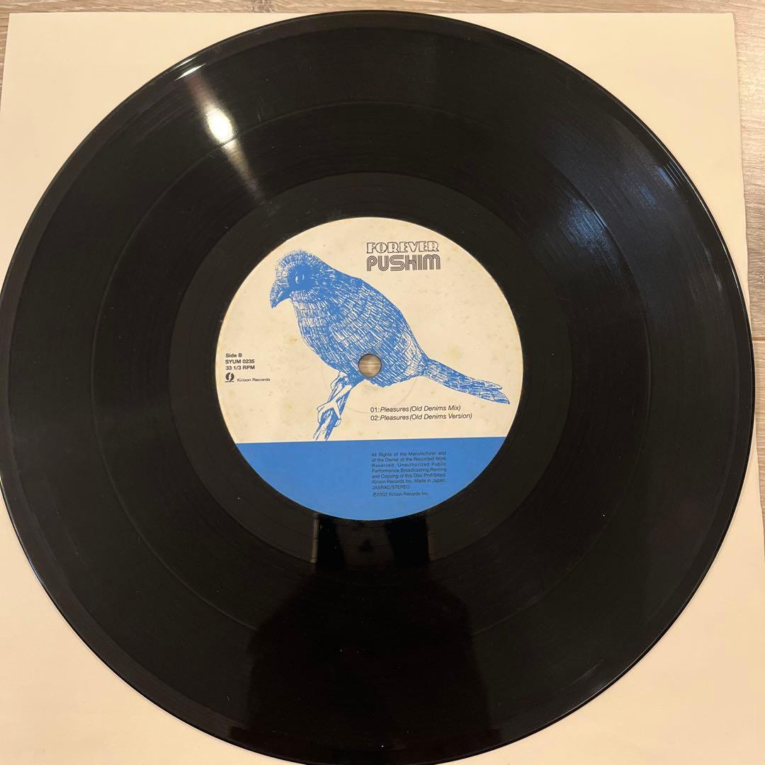 J*J様 pushim レコード forever 10inch ジャパレゲ レゲ