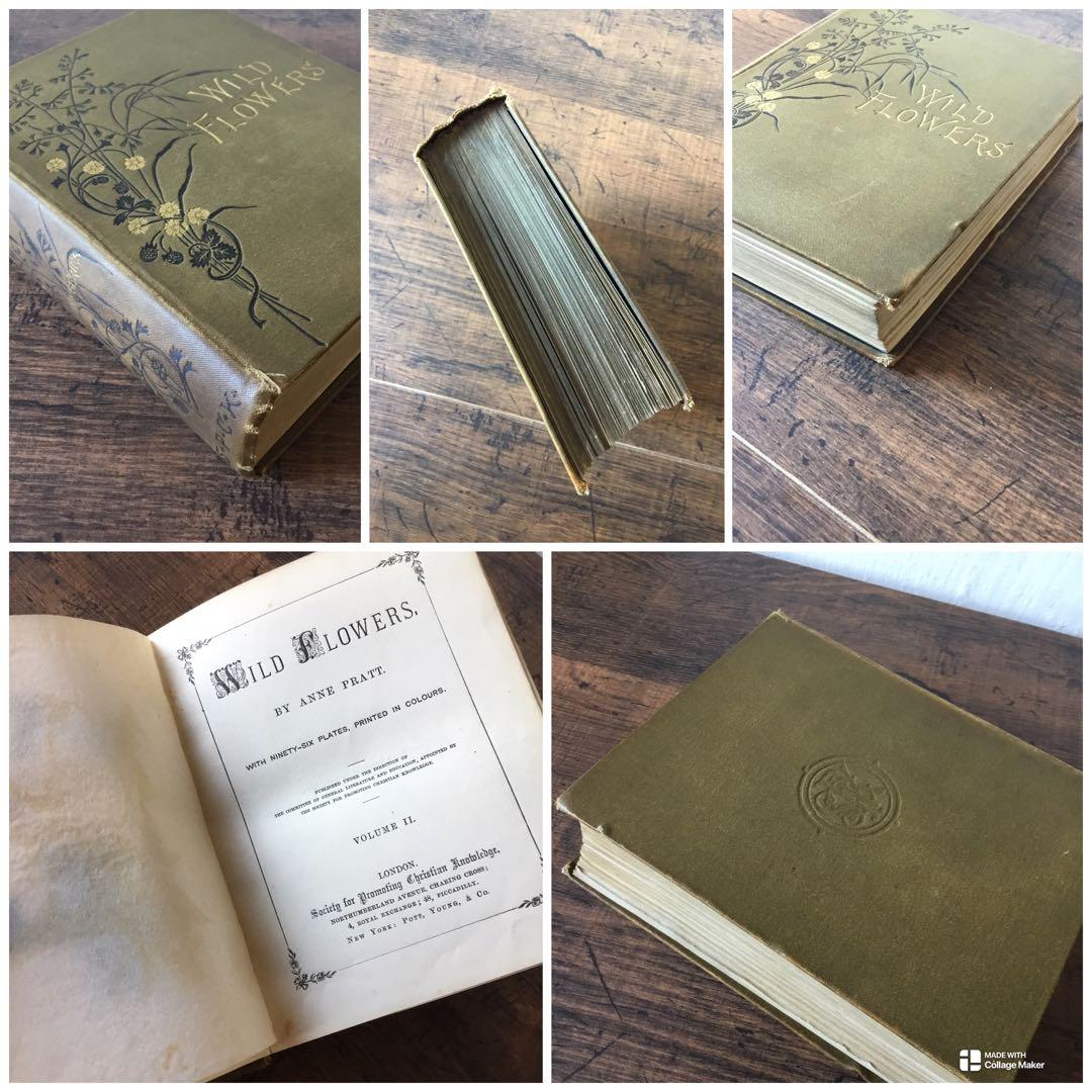 洋書　イギリス　植物図鑑　古い図鑑