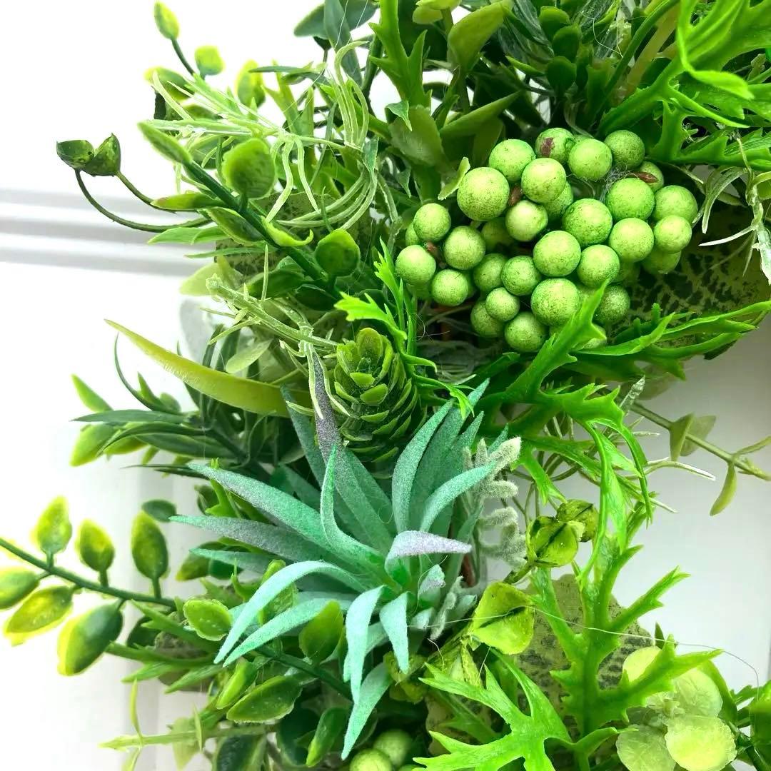 みぃです。ぷっくり多肉植物とたっぷりグリーンリース35cm&36~38cm