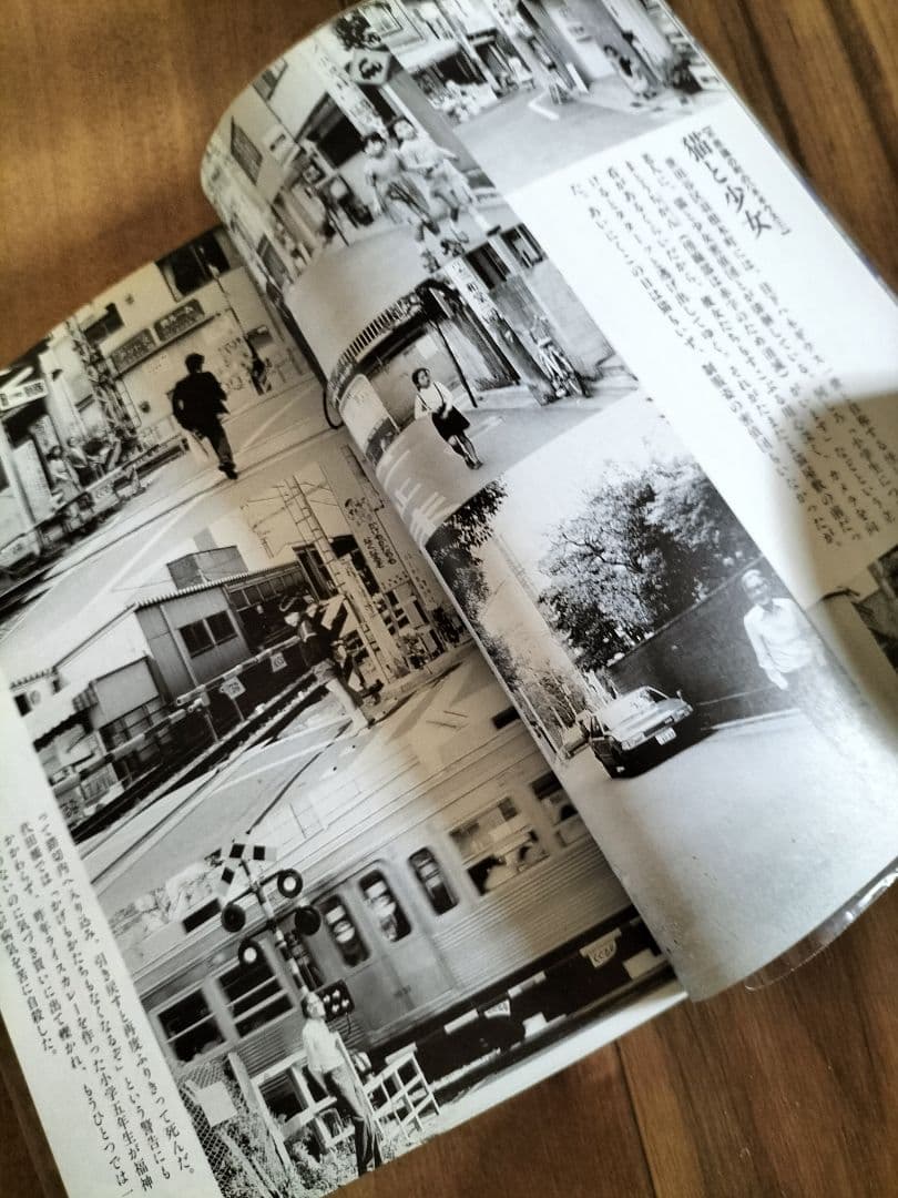 中井英夫スペシャル　１改訂版　反世界の手帳　別冊幻想文学　絶版書籍