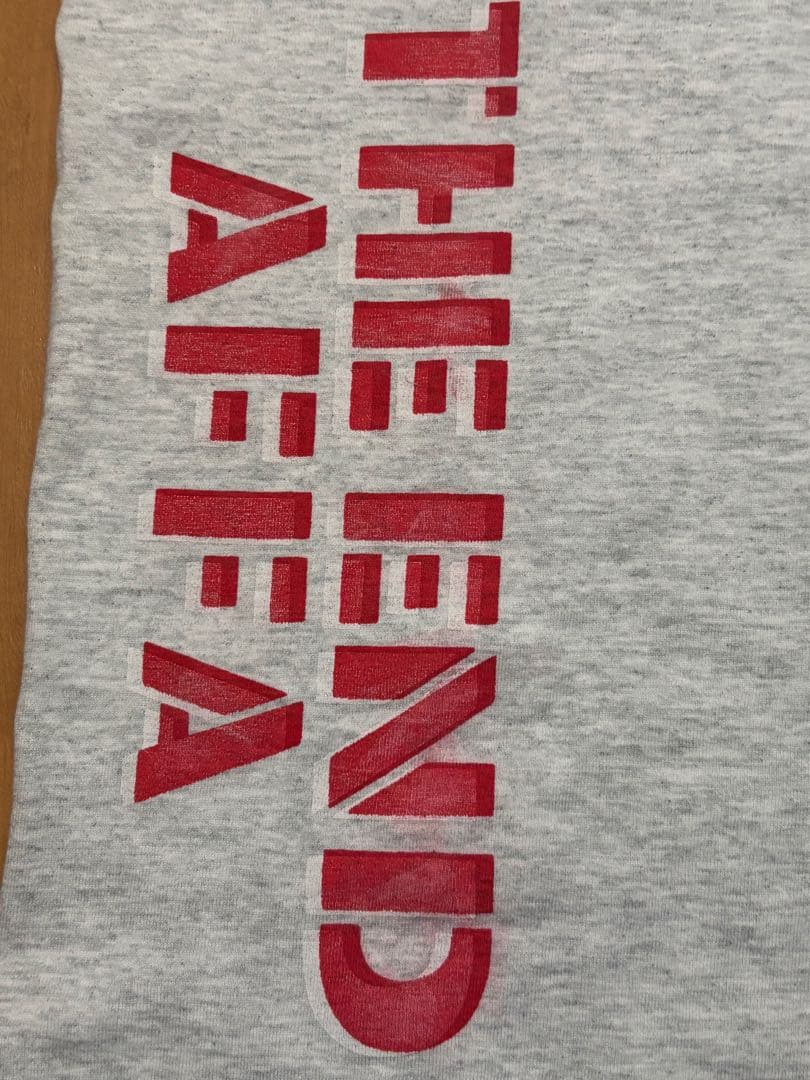 AFFA ANNA終焉Tシャツ グレー