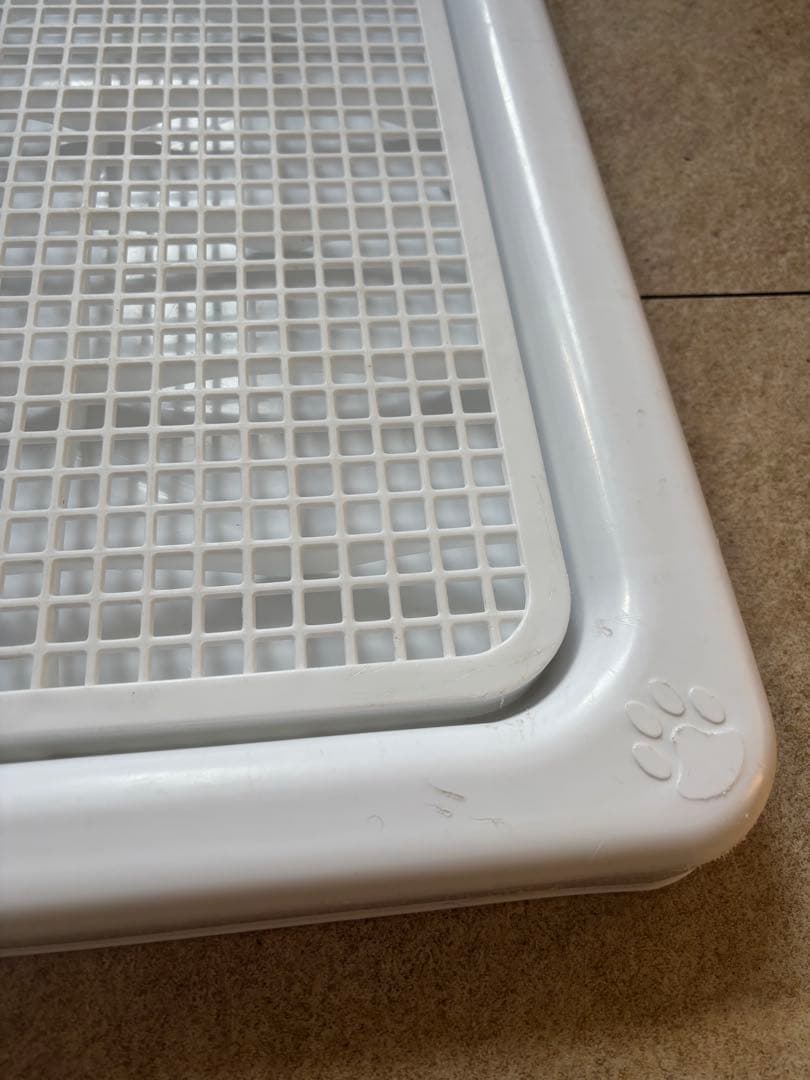 イヌラボ　犬　トイレトレー　XXLサイズ