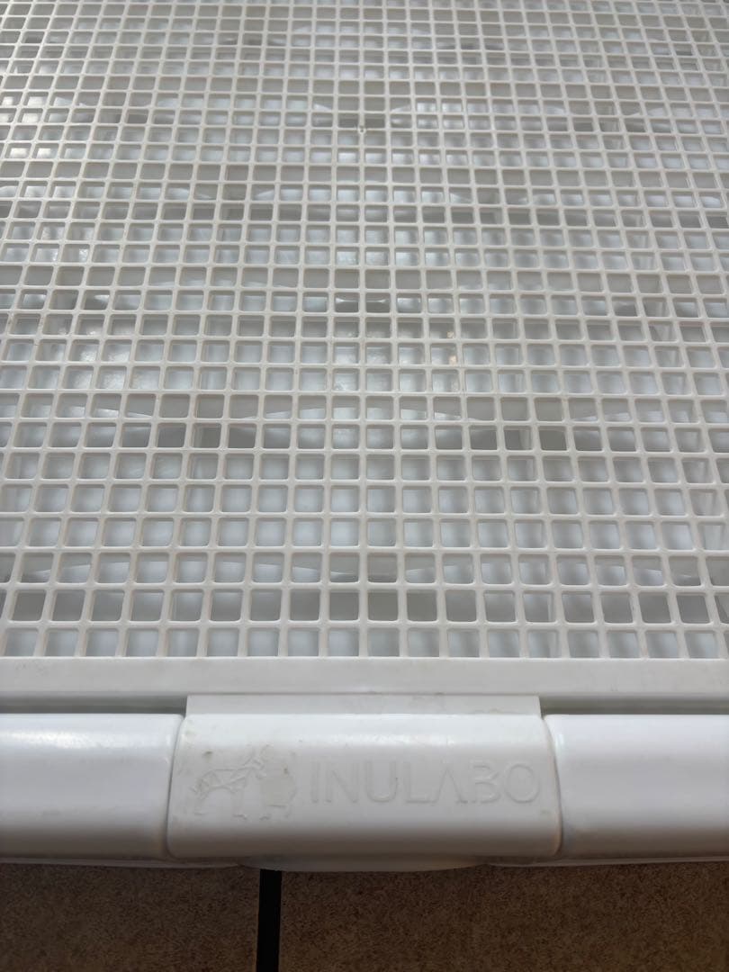 イヌラボ　犬　トイレトレー　XXLサイズ
