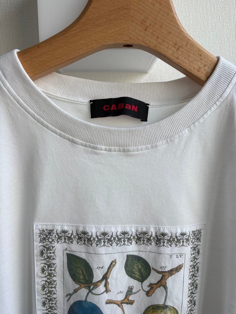 CABAN ボタニカルイラスト Tシャツ　Mサイズ