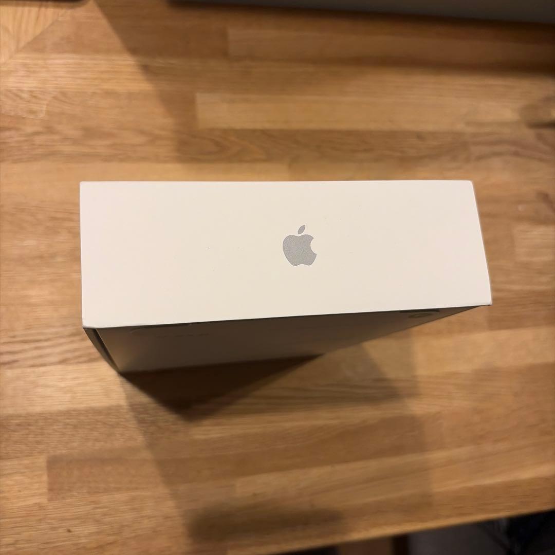 iPad mini 256GBスペースグレー