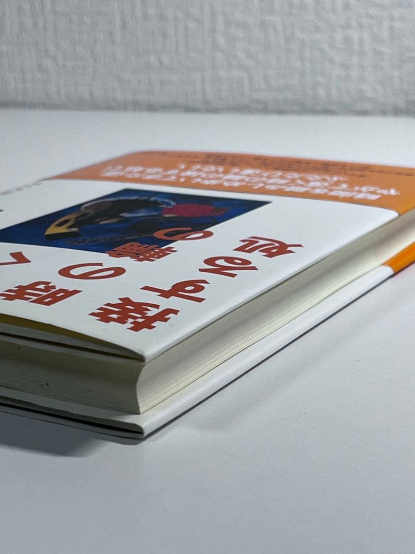 希少‼️【初版帯付き】遠く時の輪の接する処　リーフ　葉書あり
