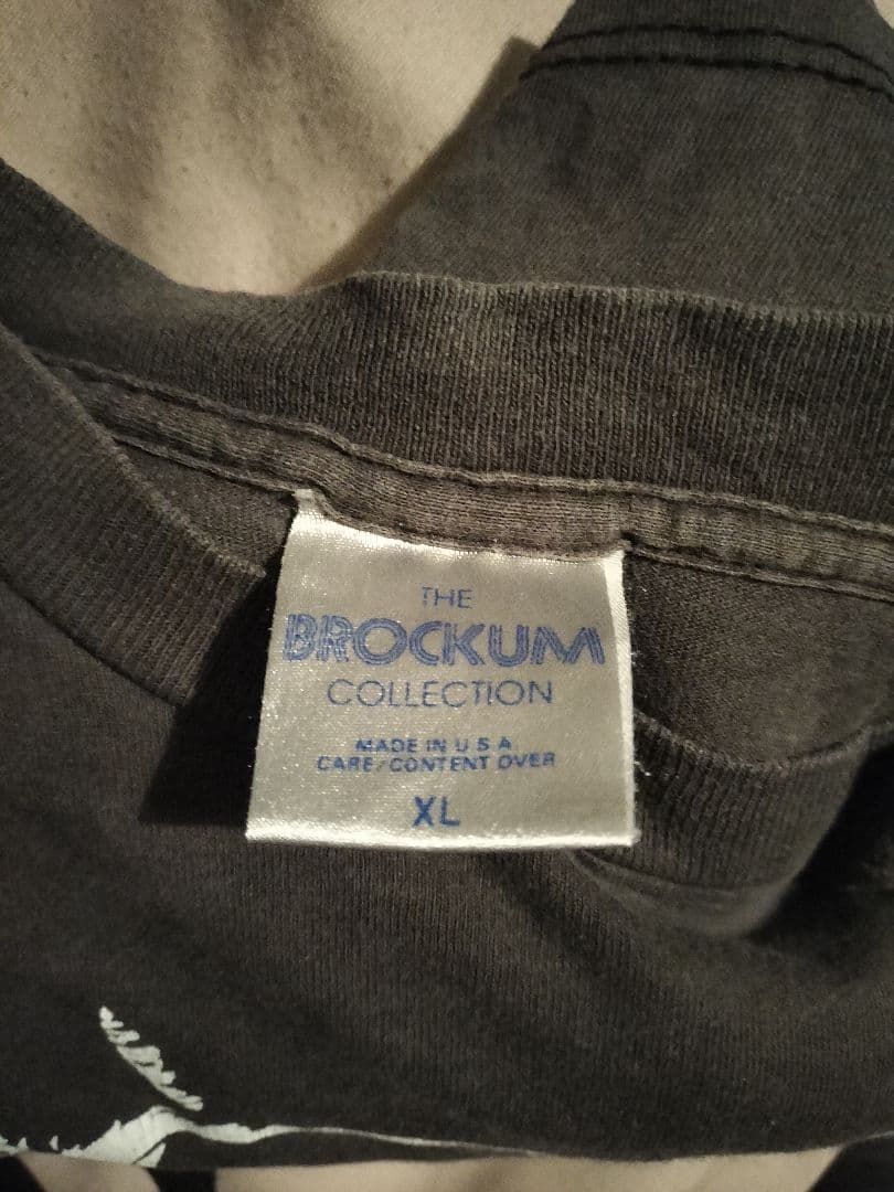 激レア 80's DANZIG USA製 Tシャツ OLD brockumボディ