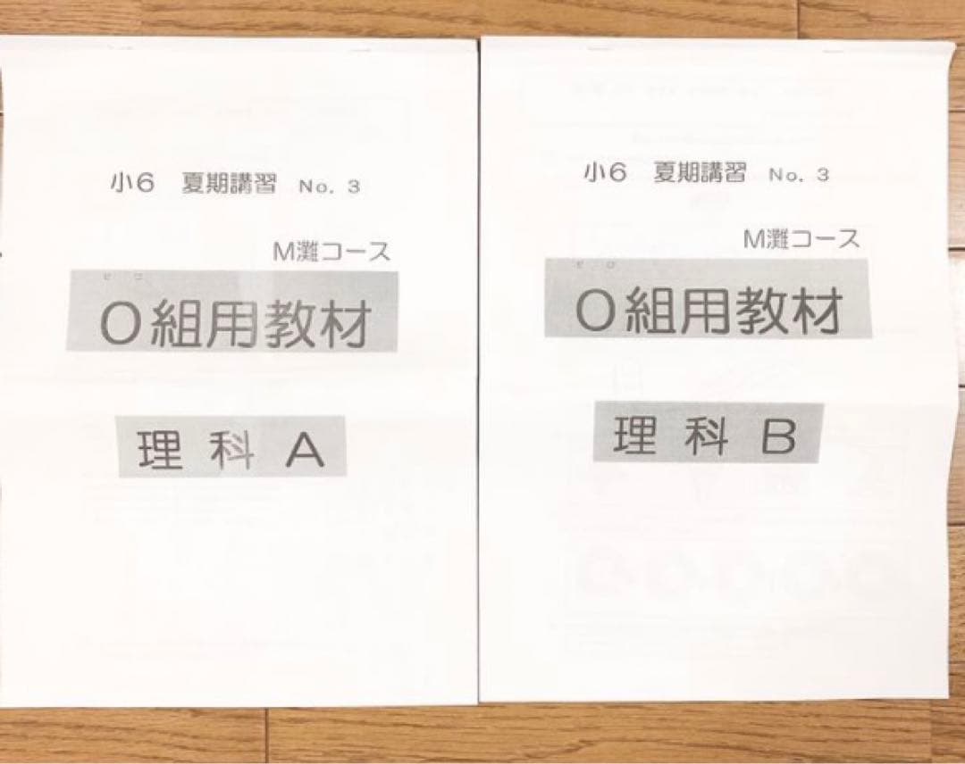 浜学園 小6 夏期講習 理科 M灘コース 0組用教材 テキストまとめ売り