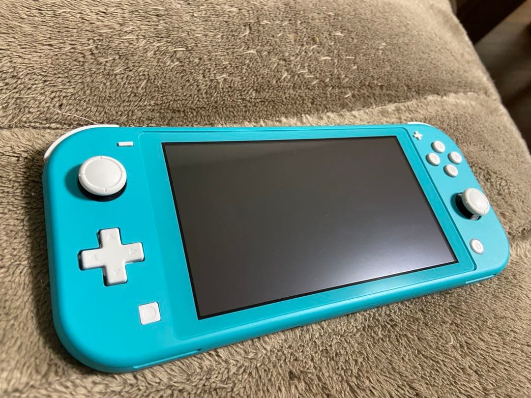 Nintendo Switch Lite ターコイズ 本体　ケース付き