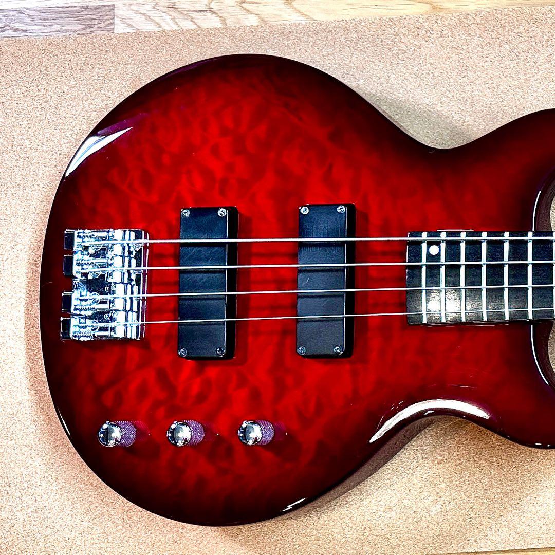 ベース EDWARDS E-J-140TVB Fire Red LUNA SEA J