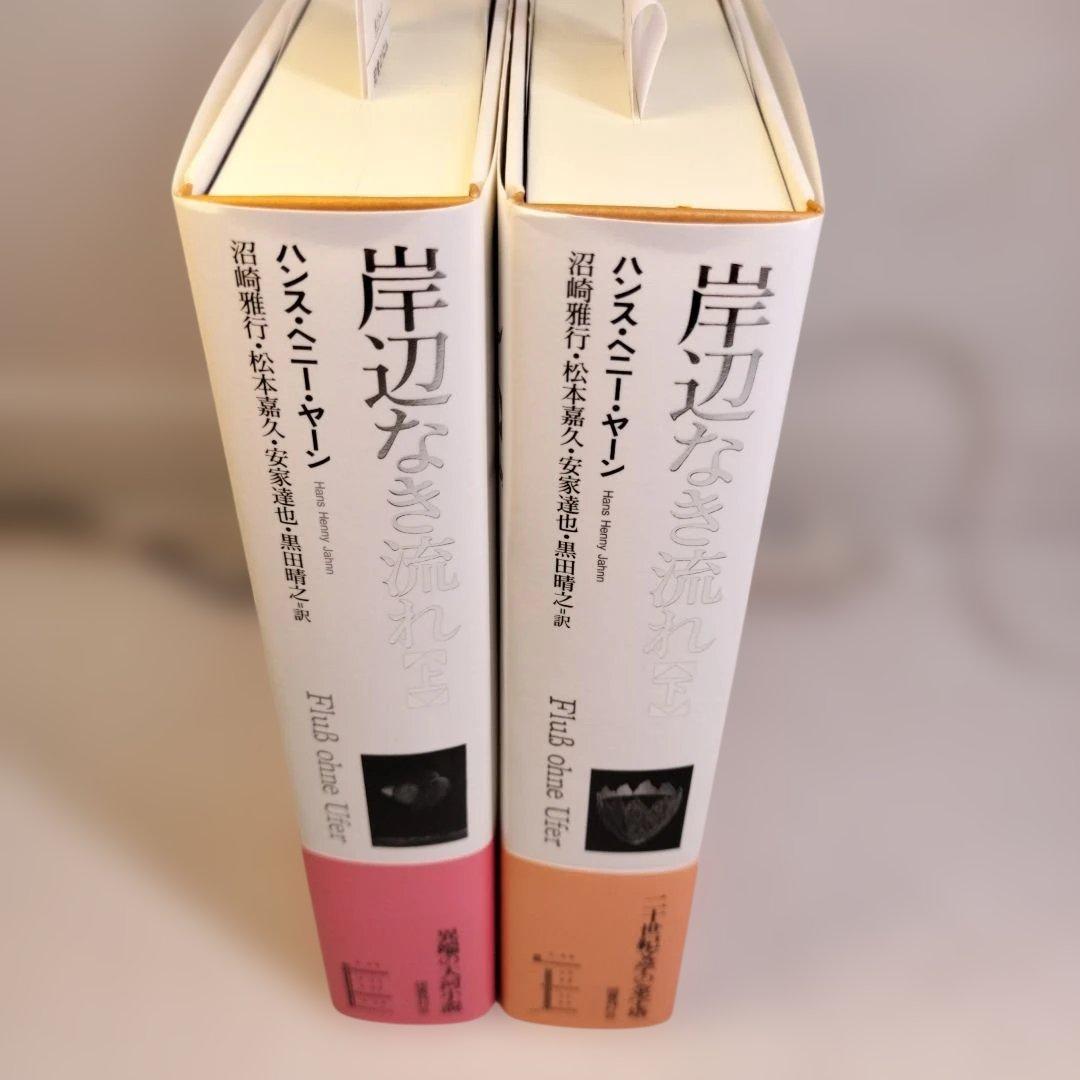 岸辺なき流れ 上下 ハンス・ヘニー・ヤーン 国書刊行会