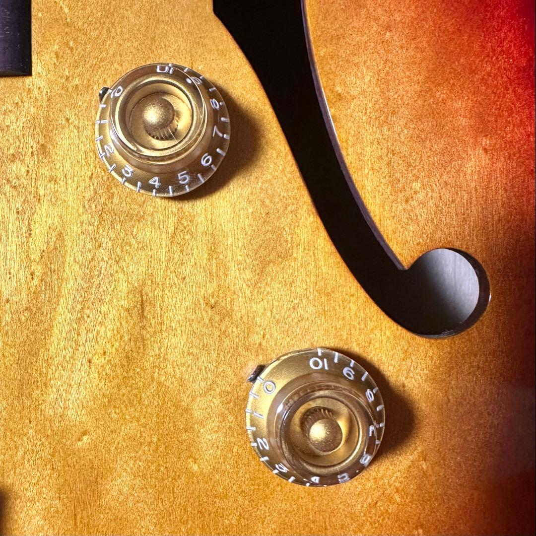 ギター Archtop Tribute AT105 / Late '50s Burst