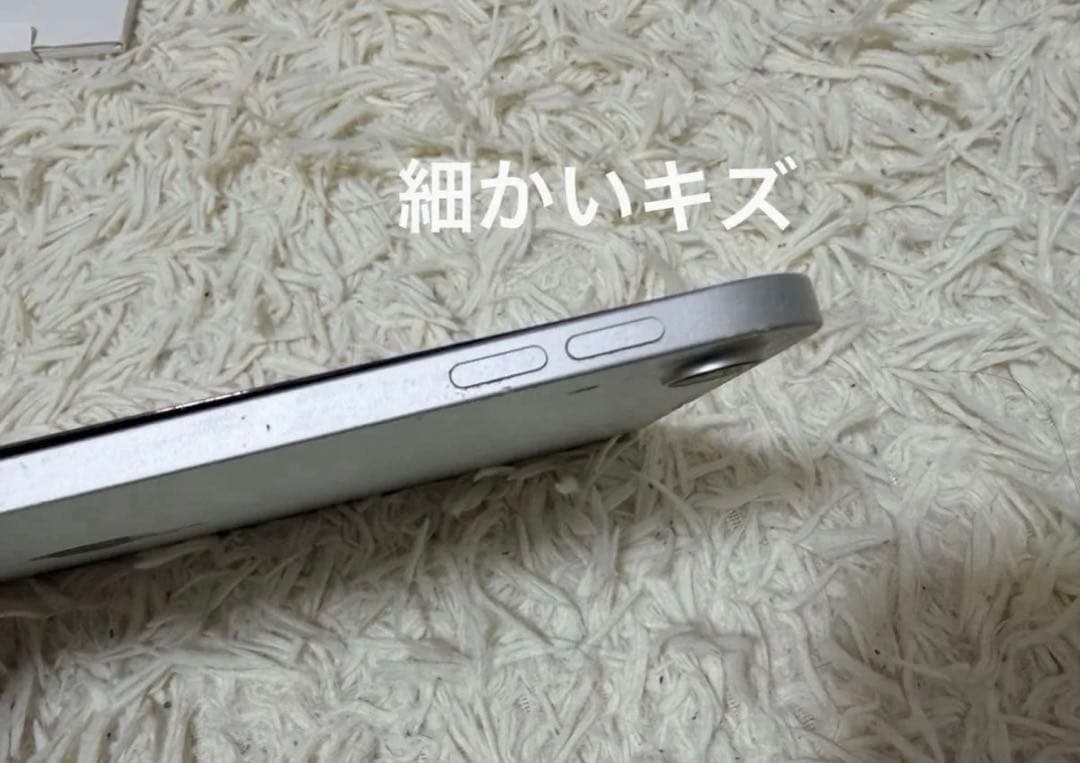 〈マック〉iPad Pro 11インチ (第1世代) Wi-Fi 64GB