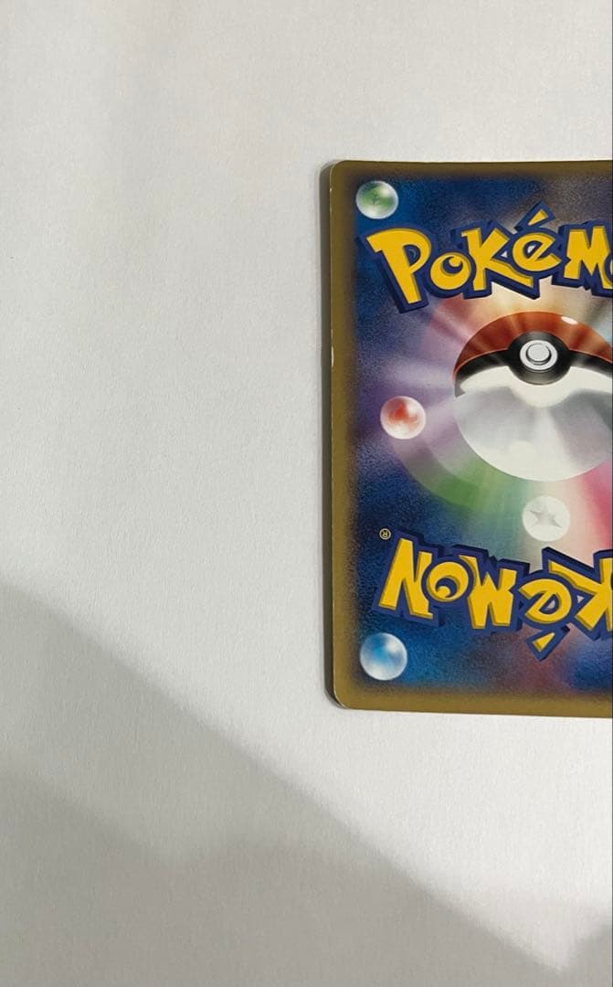 うずまきホロ ポケパークのピカチュウ
