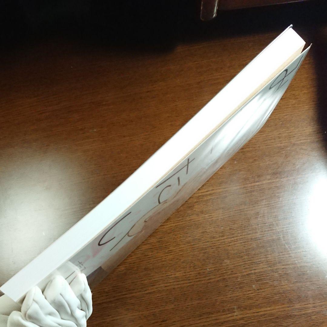 君に修正をみせたい