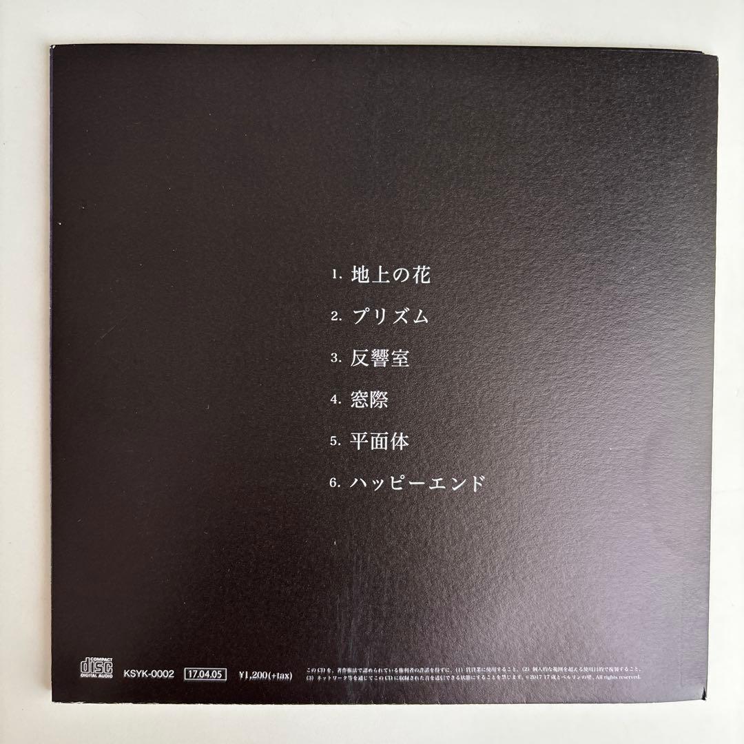 17歳とベルリンの壁　「Reflect 」