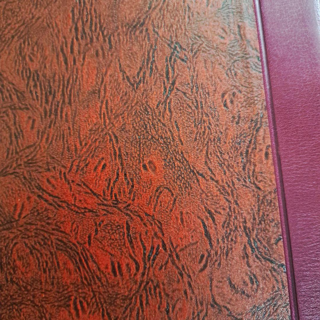 新和英大辞典