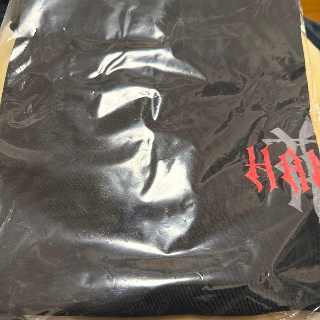 【新品未使用】　HANA ロゴTシャツ　Sサイズ