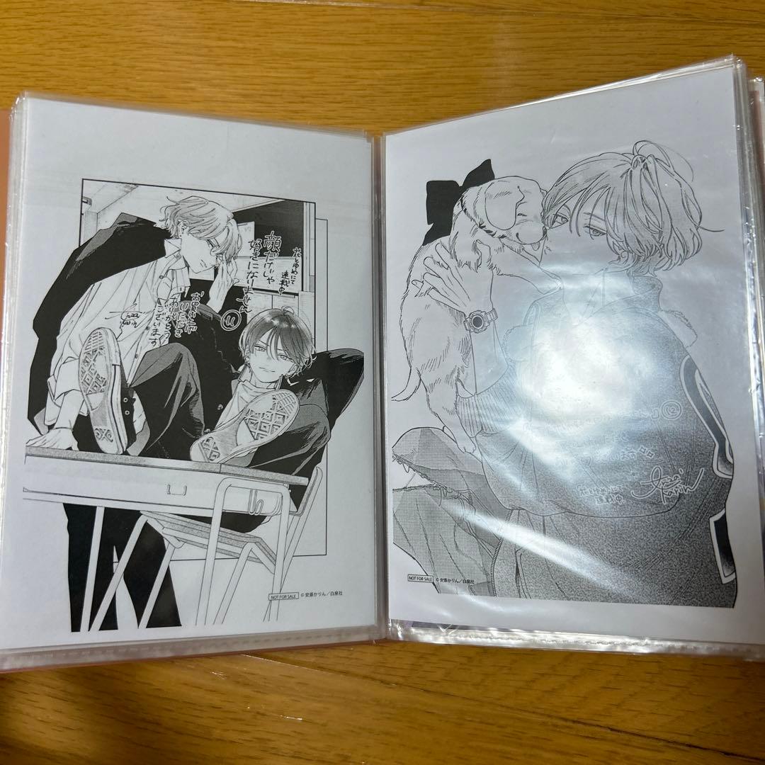 顔だけじゃ好きになりません 1巻〜14巻 全巻 特典付き