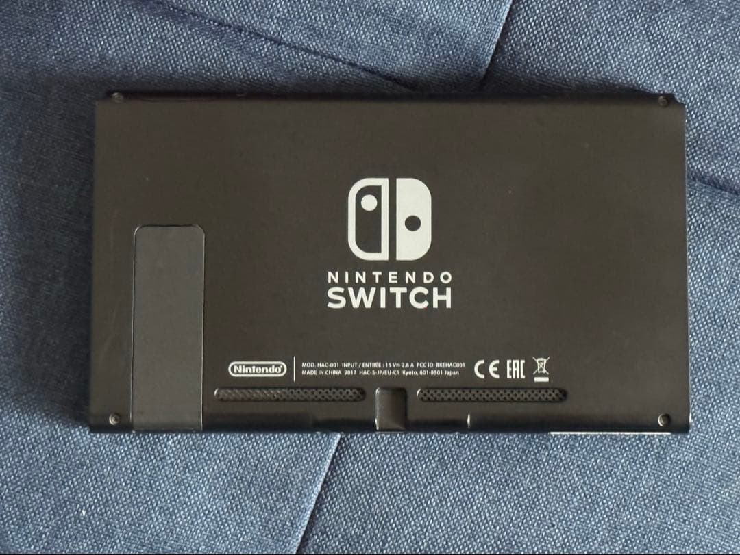 Nintendo Switch グレー 本体と付属品 + ケース等